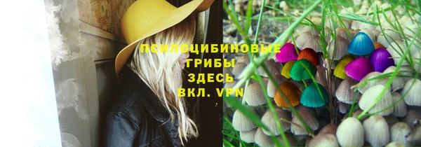 первитин Бердск
